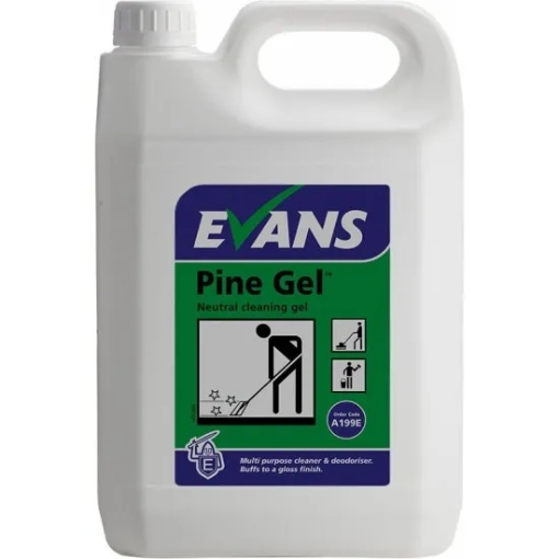 Picture of EVANS PINE GEL 5L x 2